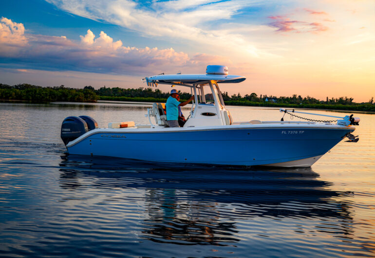 Cobia 262